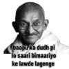 Gandhi 23