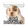 Se eliminó este mensaje ¿qué borraste?