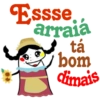 🪗Flork no São João🌽 17