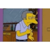 Los Simpson 24