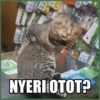 NYERI OTOT? L