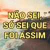 Frases debochadas 🥱 12
