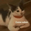 Como sabes