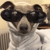 Animales Pa' ti  7