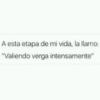 A esta etapa de mi vida, la llamo: "Valiendo verga intensamente"