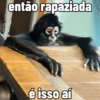 🐒 Macaco Direto e Sincero 10