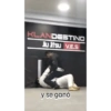 Pinguino 5