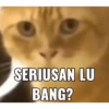 SERIUSAN LU BANG?