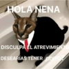 HOLA NENA DISCULPA EL ATREVIMIENTO DESEARÍAS TENER COITO?