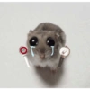 Hamster triste 18