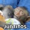 JUNTITOS