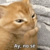 Ay, no sé