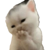 Kucing lucu 17