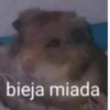 😎 STICKERS SHITPOST 14 🤙 15