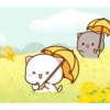 Peach and Goma Wallpaper 27