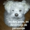 🙉Frases variadas🙉 6
