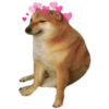 Perro meme Cheems 👋🏻😎 5
