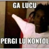 Kucing langor 10
