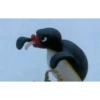 Pinguino nojado 12