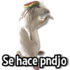 Memes Simples 4😏💙 11