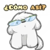 🐶Perrito Blanco|Facebook🐶 7