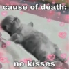 Nao 13