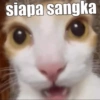 siapa sangka
