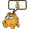 Pinguino 10