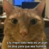 🙉Frases variadas🙉 7
