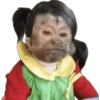 Macaquinhos memes  9 😔