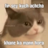 fir sey kuch achcha @pandit_hoon_bc khane ka mann hora