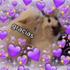 gracias Jesaigadinho