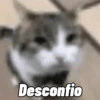 MEMES SHITPOST 7