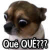 Qué QUÉ???