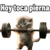 Gym animalitos MM2 🐇🐭🦧🏋 10