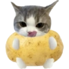 Cute emoji iphone ios 18.1 9