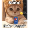 Cute cats Hindi 7