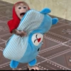 Monkey 11