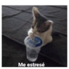 Me estresé