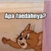 Tom & Jerry 13