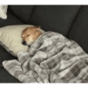Perritos para el chat 🤣 5