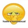 Pack de Memes Bola Amarilla 😂 14