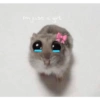 Hamster triste 6