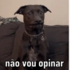DEBOCHE DE MUITÃO 7