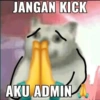 Kucing jomok 16