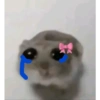 Hamster triste 22