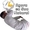 Novo 11