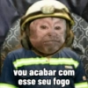 🐒 Macaco Direto e Sincero 6