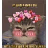 Cute cats Hindi 9