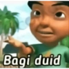 Bagi duid